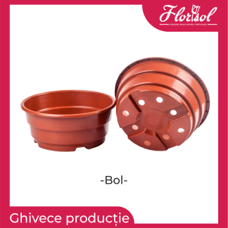 Ghivece tip bol