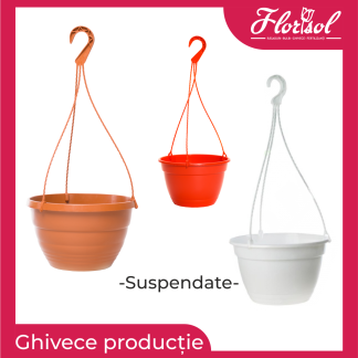 Ghivece suspendate