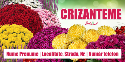 Banner crizanteme personalizat 200x100cm