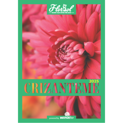 Catalog Crizanteme Florisol 2025