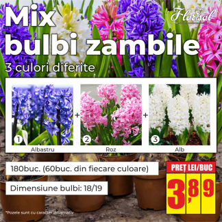 MIX BULBI ZAMBILE 18/19 (180buc.)